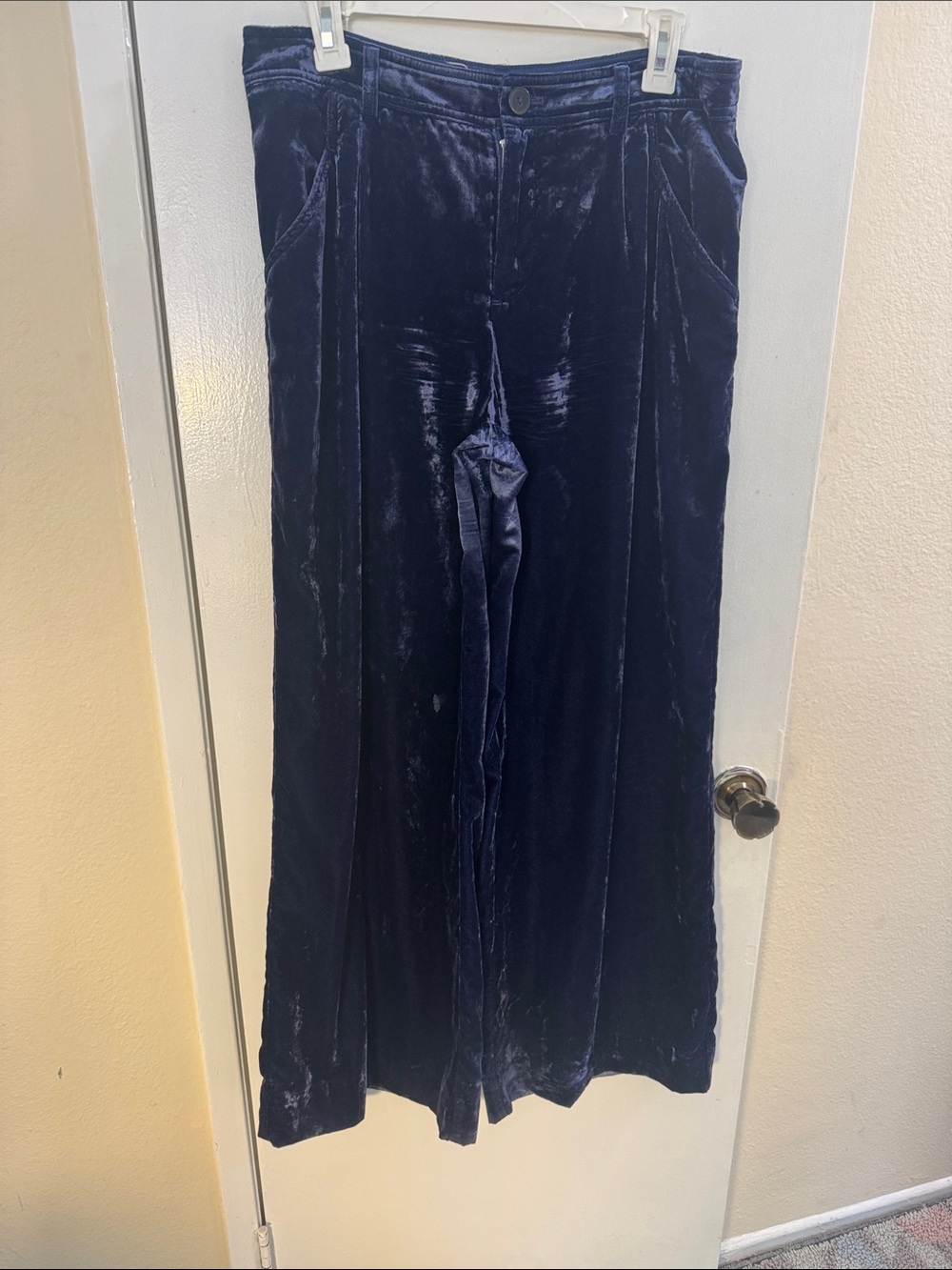 Anthropologie Velvet High-Rise Button Front Pants in Deep Blue